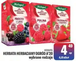 TomiMarkt Herbata Herbacyjny Ogród A'20 oferta