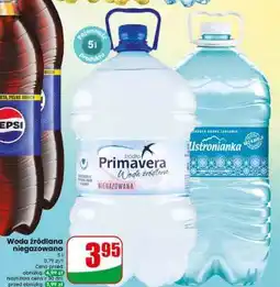 Dino Woda źródlana niegazowana oferta