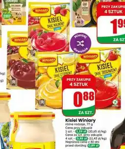 Dino Kisiel Winiary oferta