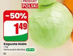 Dino Kapusta biała oferta
