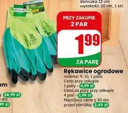 Dino Rękawice ogrodowe oferta