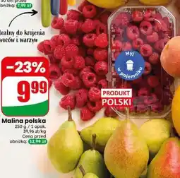 Dino Malina polska oferta