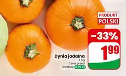Dino Dynia jadalna oferta