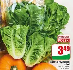 Dino Sałata rzymska mini oferta