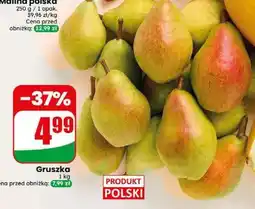Dino Gruszka oferta