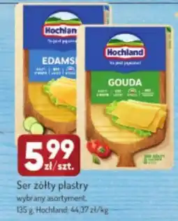 Avita Ser żółty plastry Hochland oferta