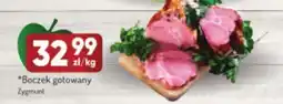 Avita Boczek gotowany Zygmunt oferta