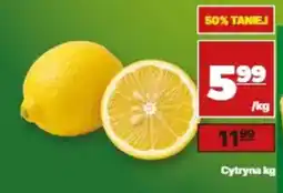 API MARKET Cytryna oferta