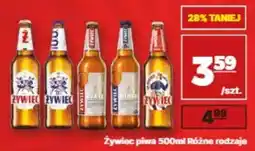 API MARKET Żywiec piwa oferta