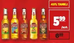 API MARKET Kopernik oferta