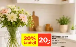Dealz Dzbanek z zaparzaczem Altom oferta