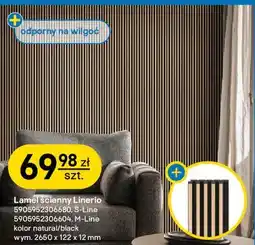 Castorama Lamel ścienny Linerio Vox natural/black oferta