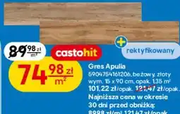Castorama Gres Apulia beżowy/złoty 15 x 90 cm oferta