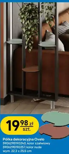 Castorama Półka dekoracyjna Ovelo oferta