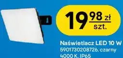 Castorama Naświetlacz LED 10 W oferta