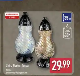 ALDI Znicz oferta
