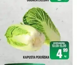 TomiMarkt Kapusta pekińska oferta
