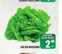 TomiMarkt Sałata masłowa oferta