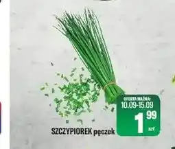 TomiMarkt Szczypiorek oferta