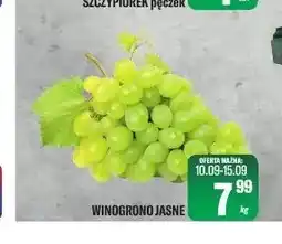 TomiMarkt Winogrona jasne oferta