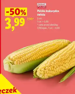 Lidl Kukurydza Polski oferta