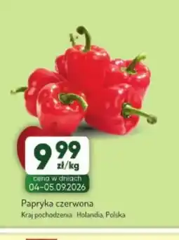 Avita Papryka czerwona oferta
