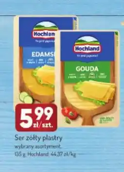 Avita Ser gouda w plastrach Hochland oferta