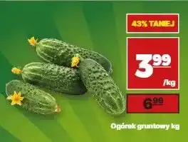API MARKET Ogórki gruntowe oferta
