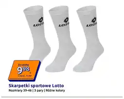 Action Skarpetki sportowe 3-pak Lotto oferta