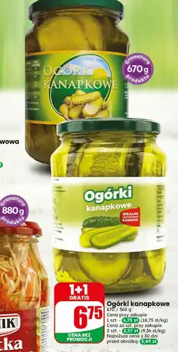 Dino Ogórki oferta