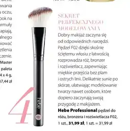 Hebe Pędzel do różu, bronzera i rozświetlacza F02 Hebe Professional oferta