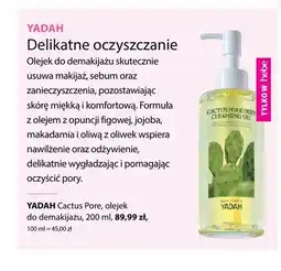 Hebe Olejek do demakijażu Cactus Pore Yadah oferta
