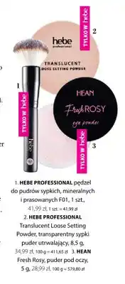 Hebe Translucent Loose Setting Powder transparentny sypki puder utrwalający Hebe Professional oferta