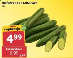 Stokrotka Ogórki Szklarniowe oferta