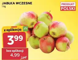 Stokrotka JABŁKA WCZESNE oferta