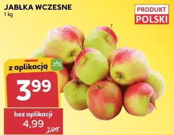 JABŁKA WCZESNE