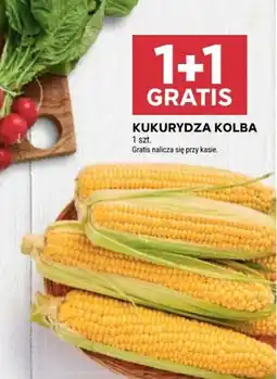 Stokrotka Kukurydza Kolba oferta