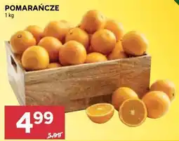 Stokrotka Pomarańcze oferta