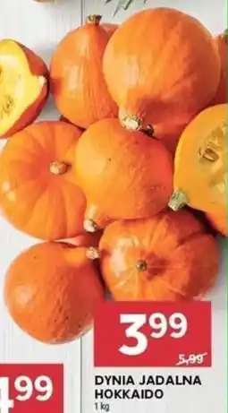 Stokrotka Dynia Jadalna Hokkaido oferta