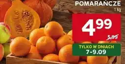 Stokrotka Pomarańcze oferta