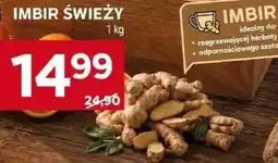 Stokrotka Imbir Świeży oferta