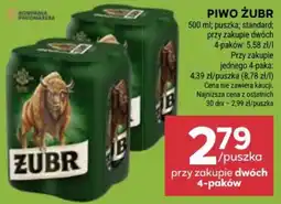 Stokrotka Piwo Żubr oferta