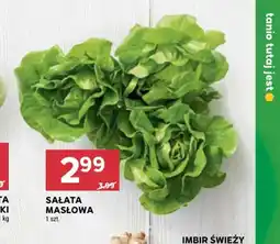 Stokrotka Market Sałata Masłowa oferta