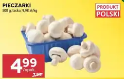 Stokrotka Market Pieczarki oferta