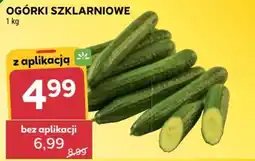 Stokrotka Market Ogórki Szklarniowe oferta