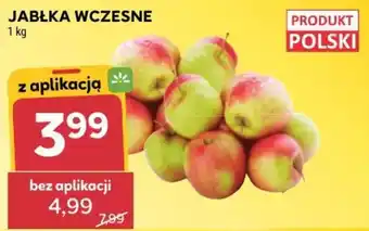 Stokrotka Market Jabłka Wczesne oferta