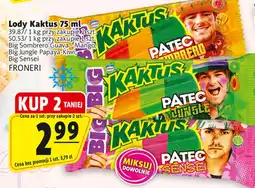 Prim Market Lody Kaktus oferta