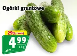 Prim Market Ogórki gruntowe oferta