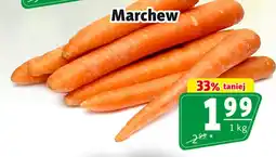 Prim Market Marchew oferta