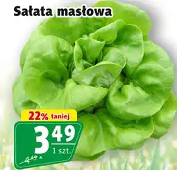 Prim Market Sałata masłowa oferta